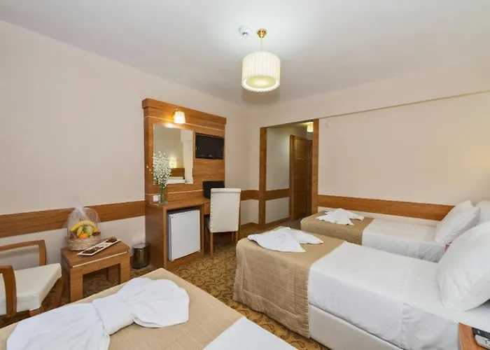 فندق Selenay اسطنبول