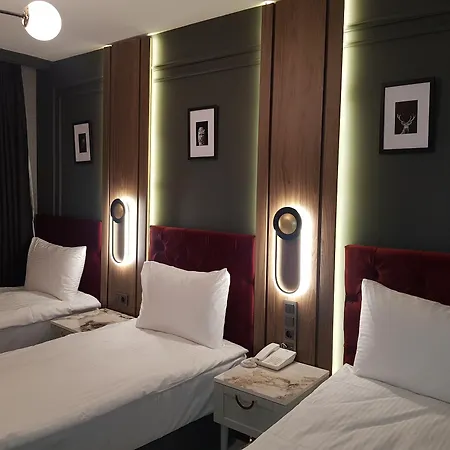 Otel Selenay Hotel&spa 3*