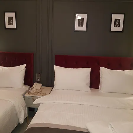 Selenay Hotel&spa Otel 3*